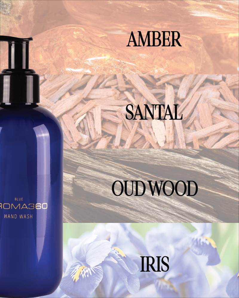 Blue Hand Wash - Image 6