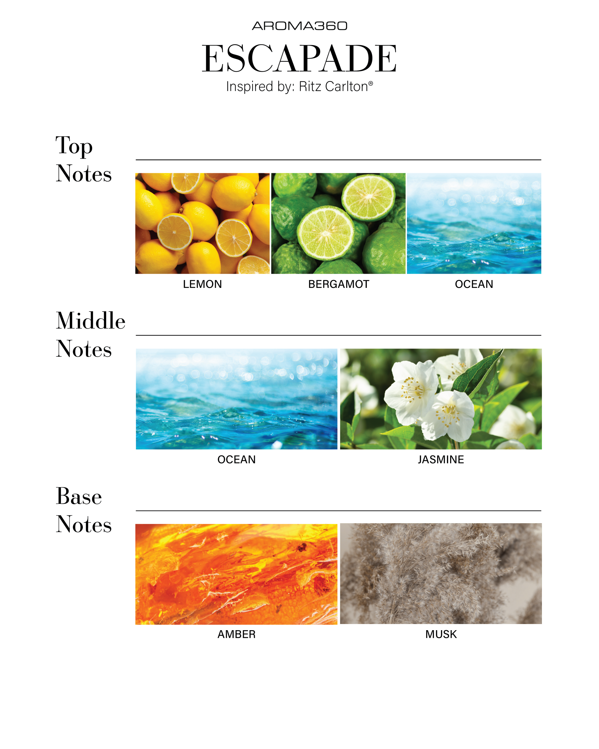 Smart Car Diffuser Oil - Image 5